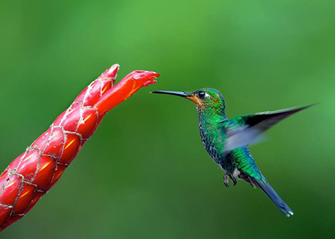 3407 West Adams Street, Illinois